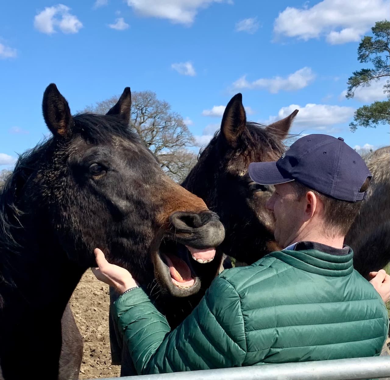 Future-Diamond-Prophecy-HH